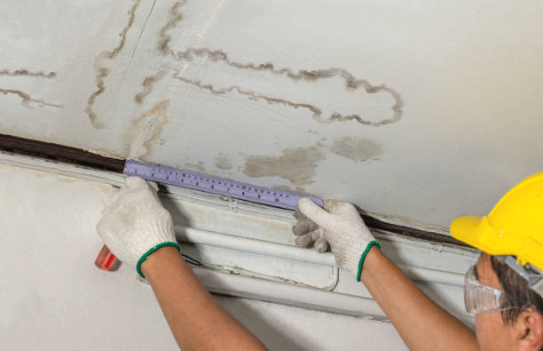 Reliable Burst Pipe Cleanup contractor in Straughn, IN by Water Damage Irwin